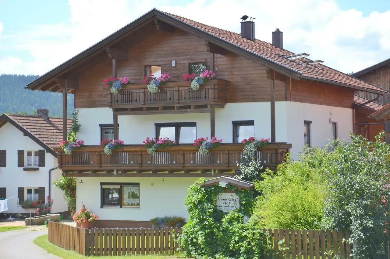 Hans Girgl Hof Langdorf  Apartment
